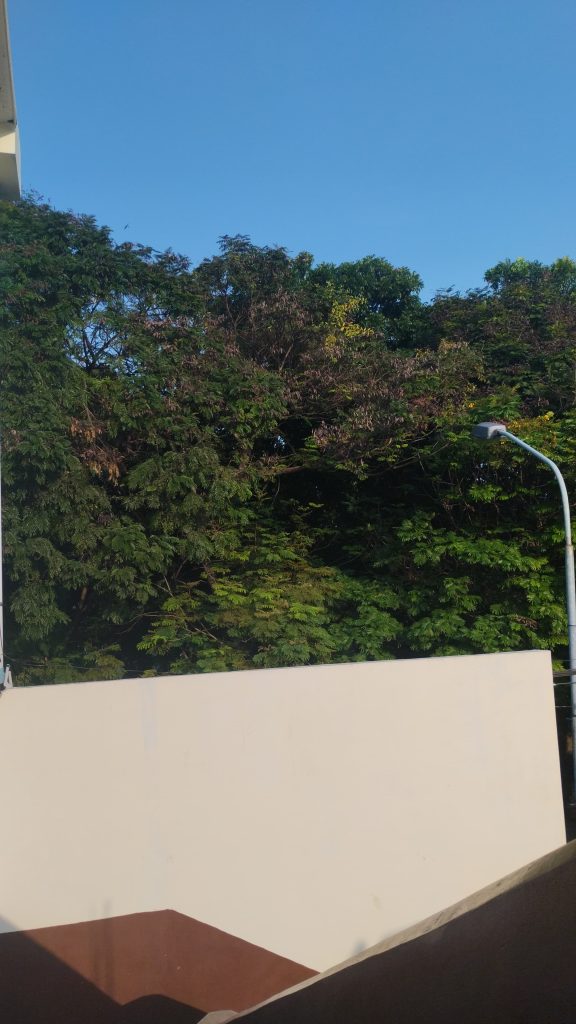 Membangun Jejak Digital yang Menginspirasi